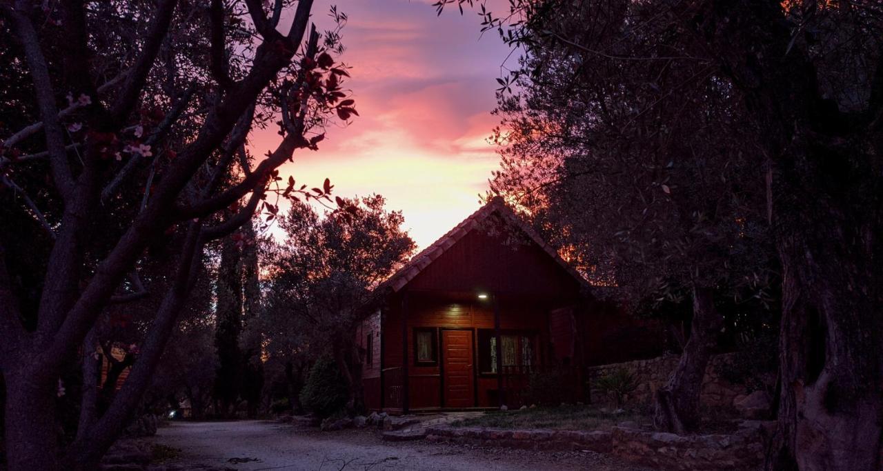 Camping Alquézar Exterior foto
