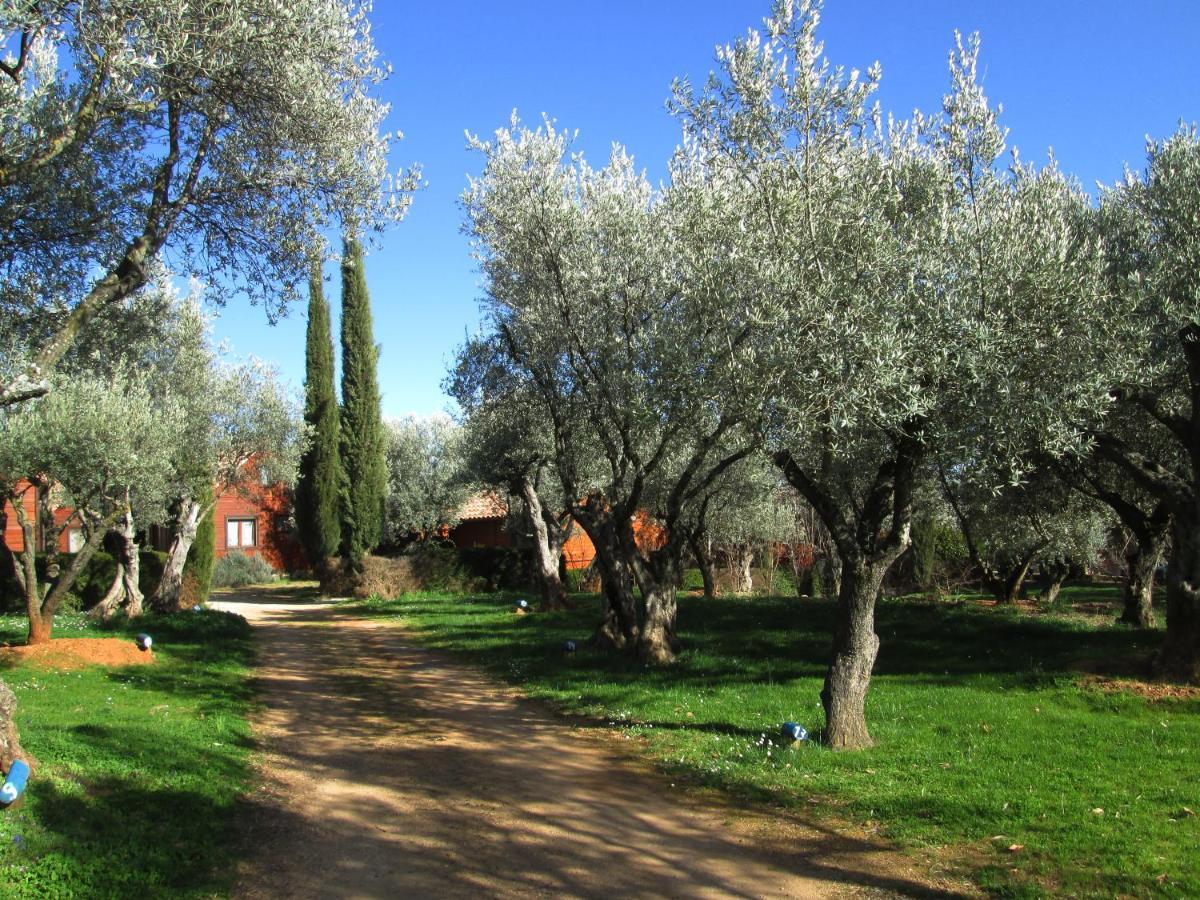 Camping Alquézar Exterior foto
