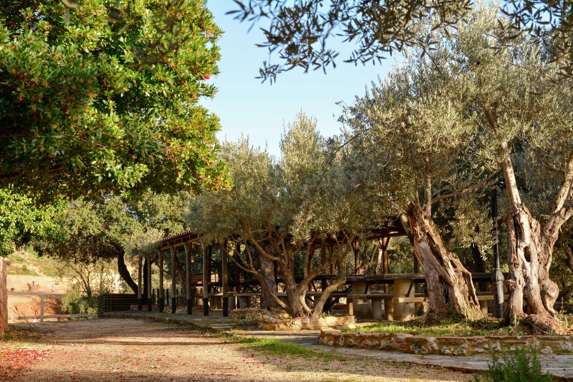 Camping Alquézar Exterior foto