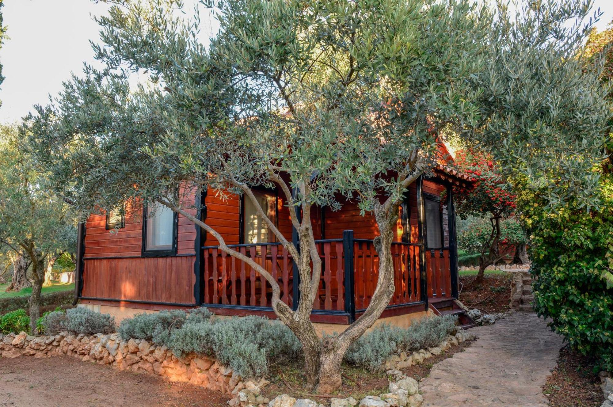 Camping Alquézar Exterior foto