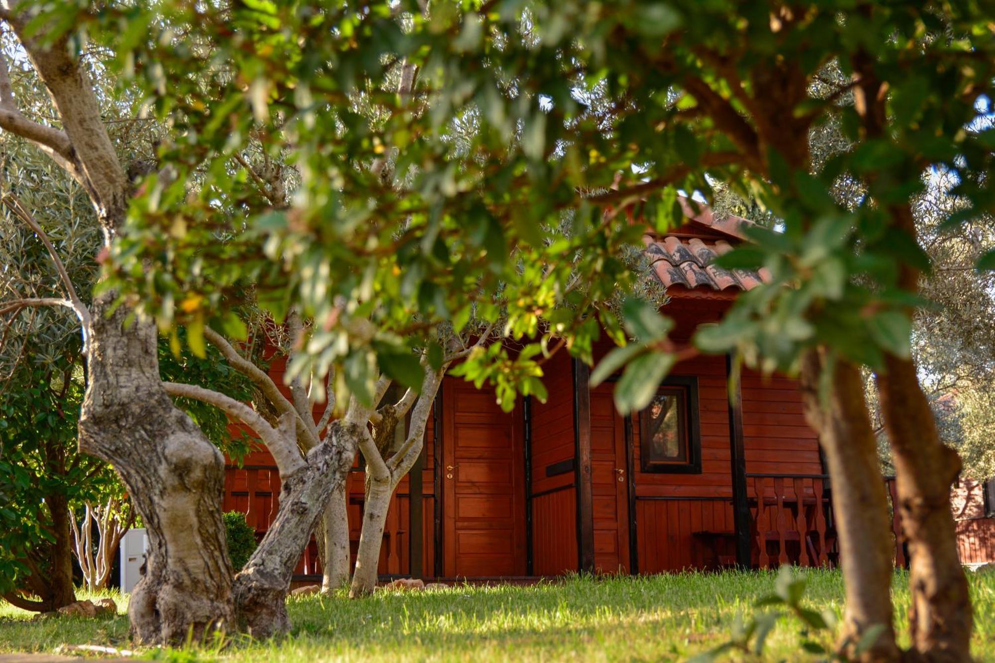 Camping Alquézar Exterior foto